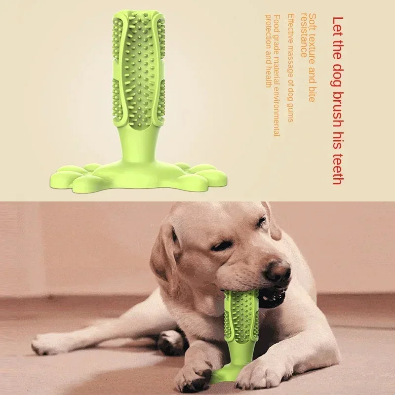 Dog Cactus Chew Toys, Cleaning Toothbrush