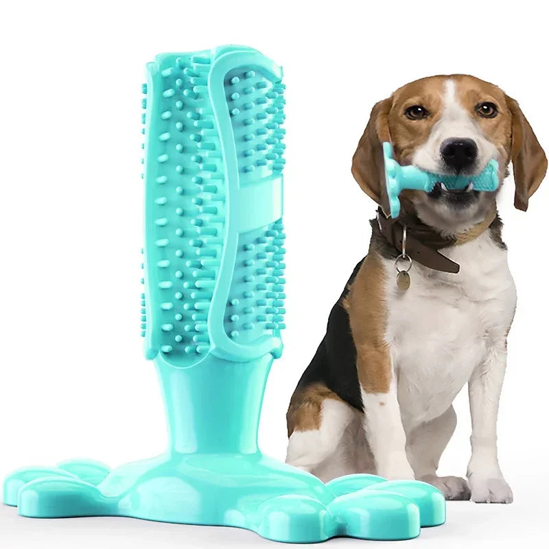 Dog Cactus Chew Toys, Cleaning Toothbrush