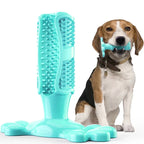 Dog Cactus Chew Toys, Cleaning Toothbrush