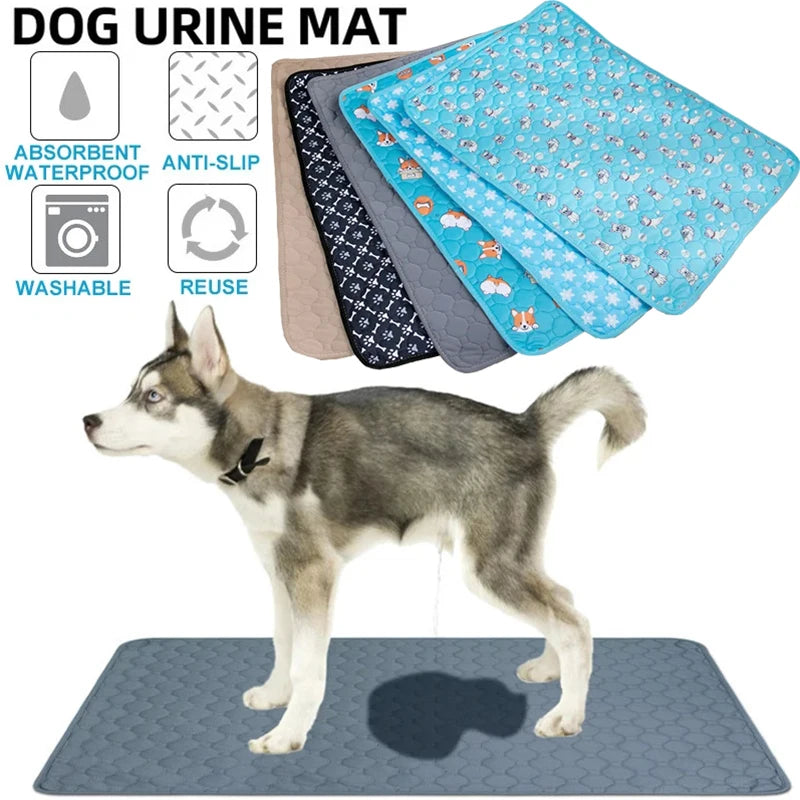 Dog Pee Pad Blanket, Reusable Absorbent