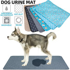 Dog Pee Pad Blanket, Reusable Absorbent