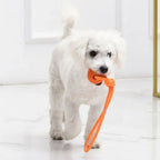 Dog Training Ball on Rope, Catching, Throwing, Tugging