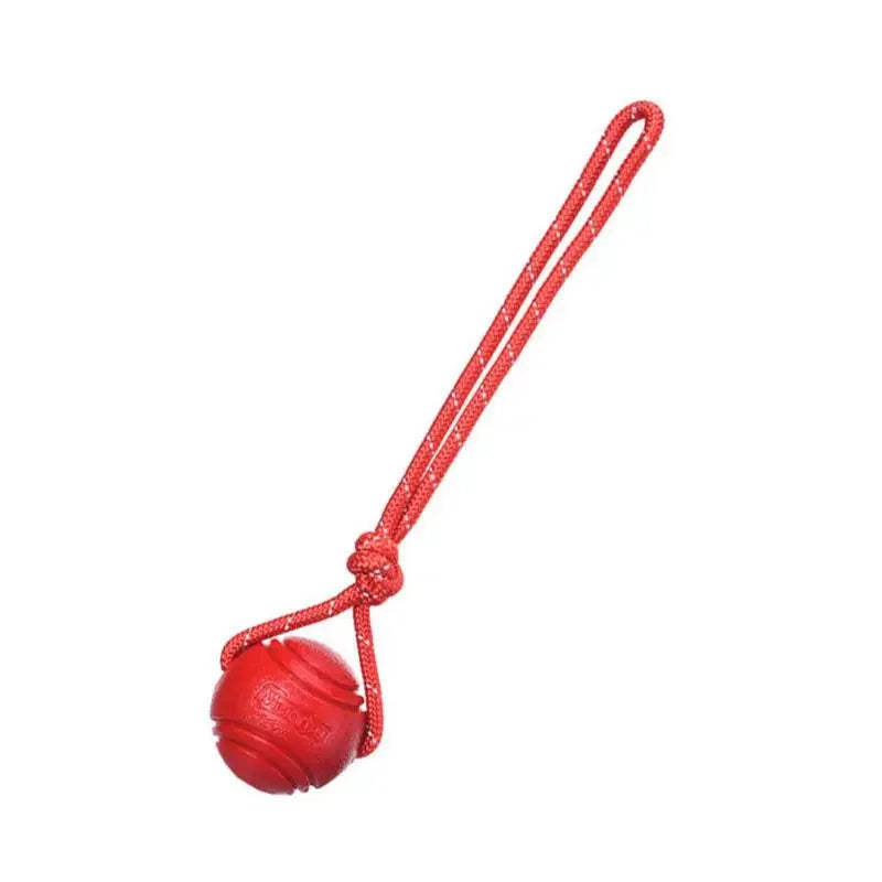 Dog Training Ball on Rope, Catching, Throwing, Tugging