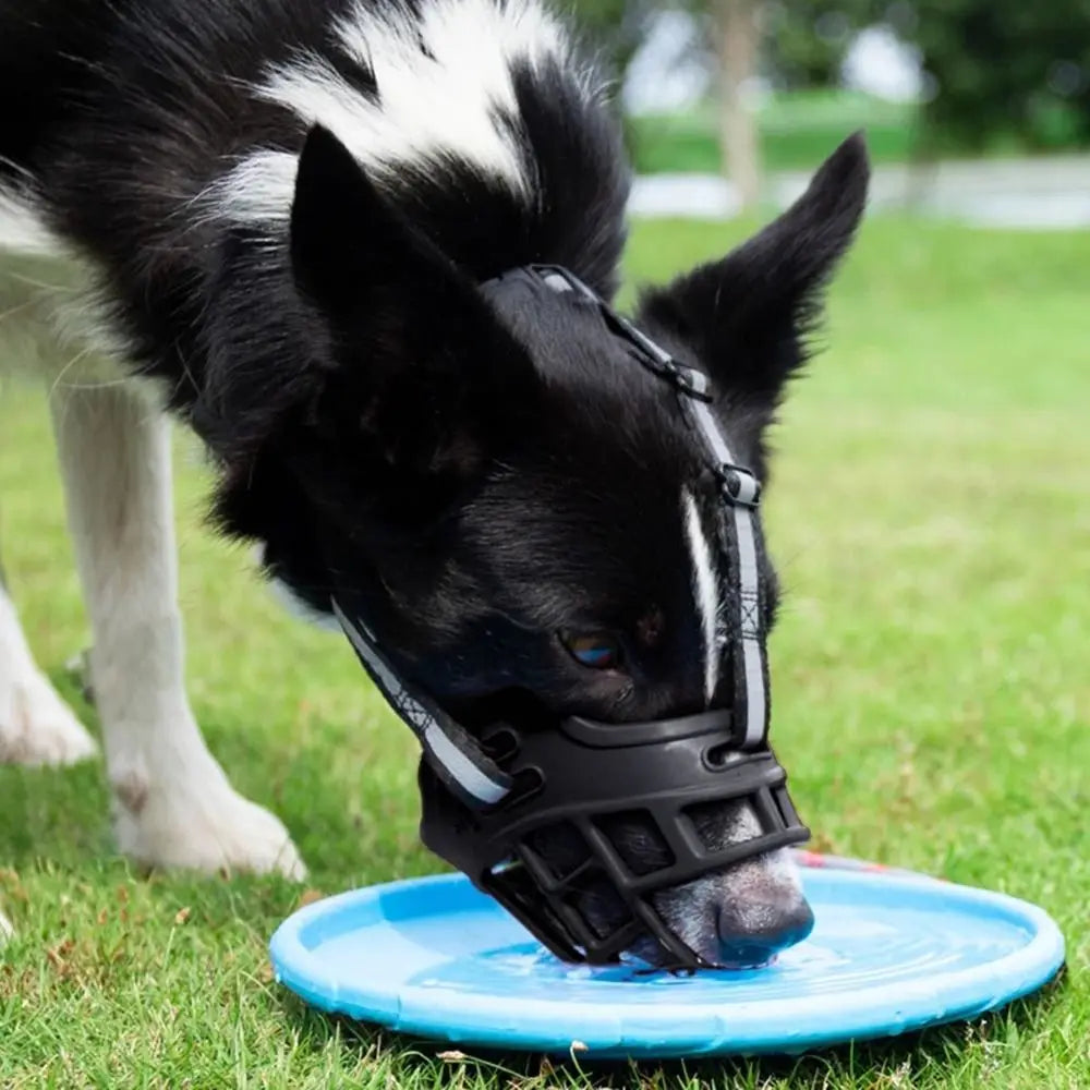 Adjustable Dog Muzzle