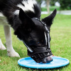 Adjustable Dog Muzzle