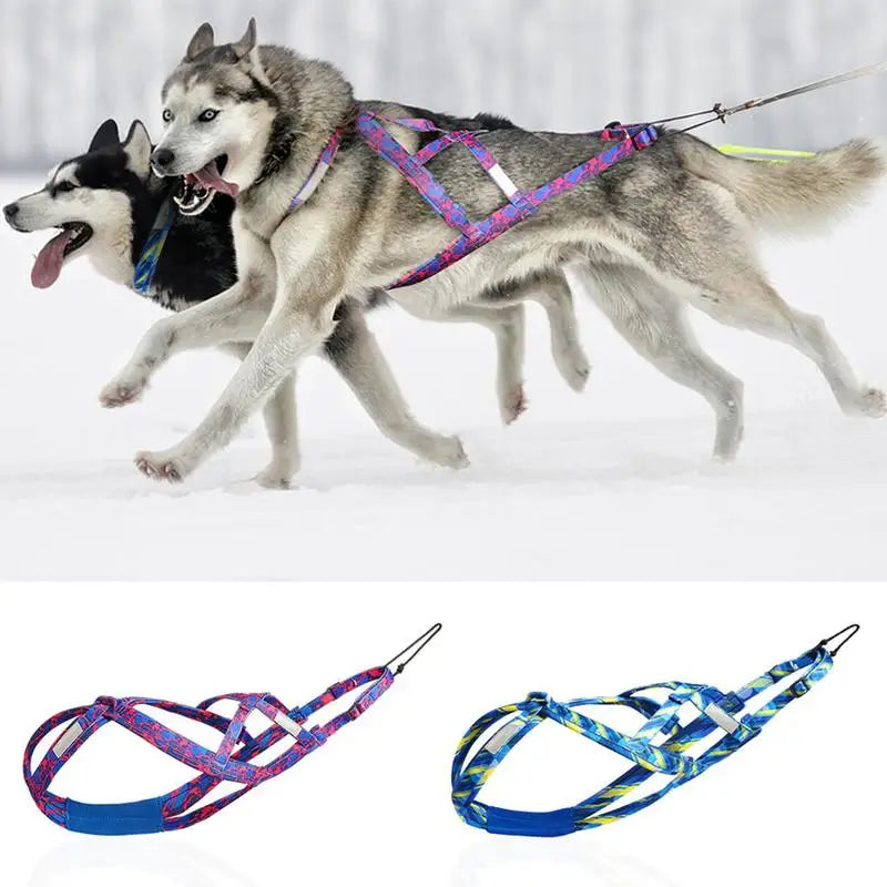 Dog's Pulling Harness, Adjustable Reflective, Outdoor