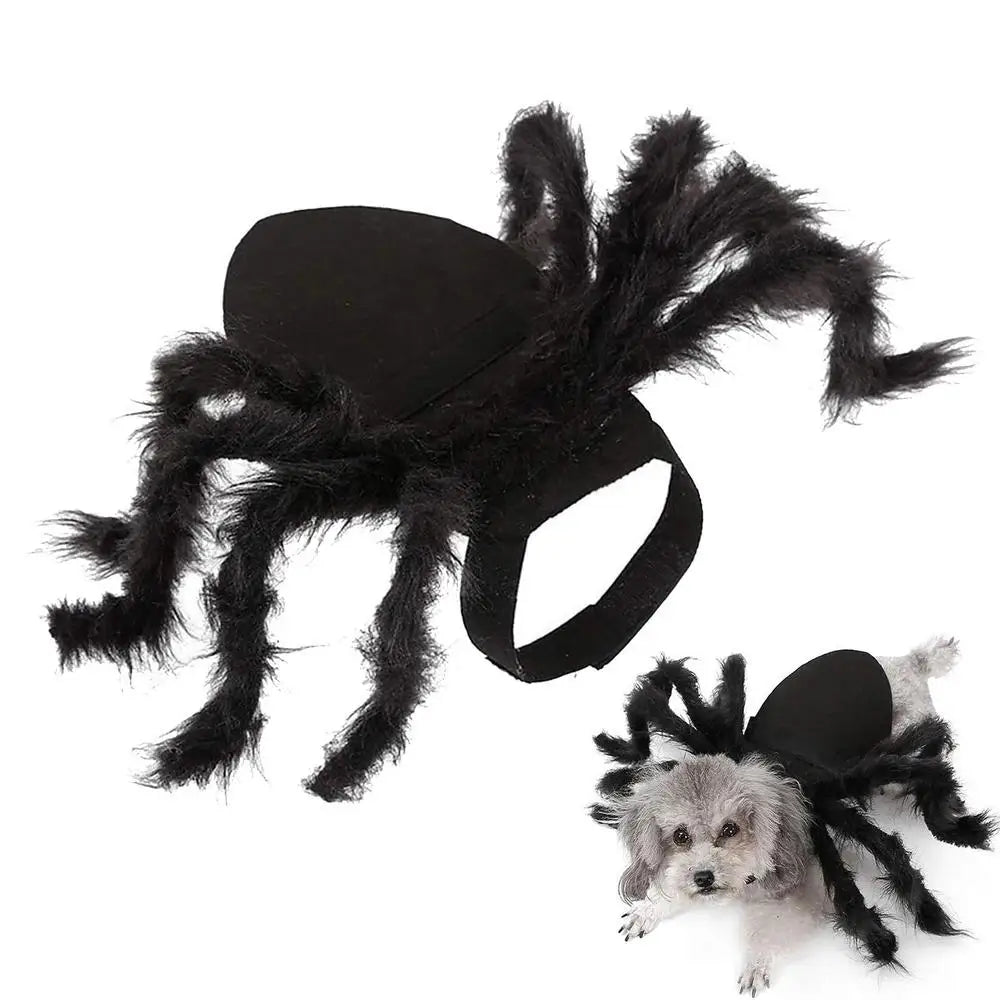 Spider Costume For Dogs