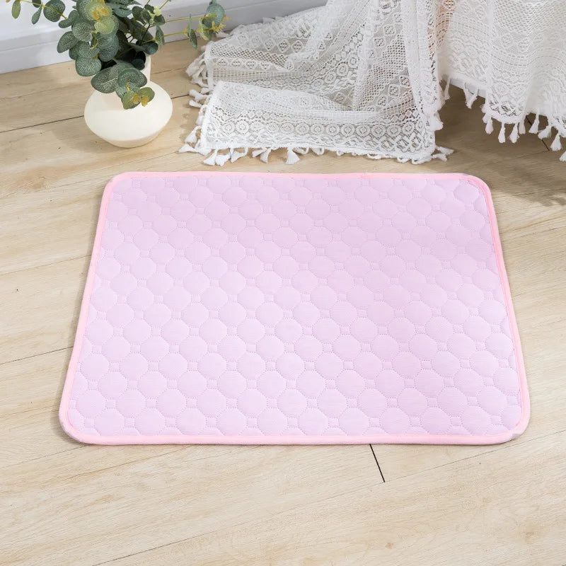 Dog Pee Pad Blanket, Reusable Absorbent