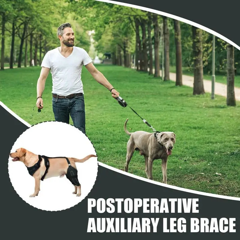 Rear Leg Braces For Dogs Adjustable, Medium/Large