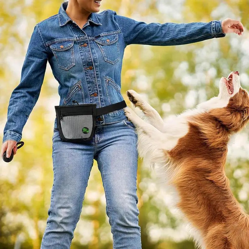 Dog Treat Pouch Magnetic Closure, Waist Bag