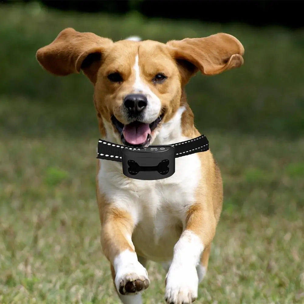 Anti Bark Collar, Train, Rechargeable Waterproof, Vibration, Ultrasonic