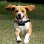 Anti Bark Collar, Train, Rechargeable Waterproof, Vibration, Ultrasonic