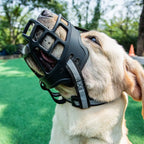 Adjustable Dog Muzzle