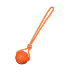 Dog Training Ball on Rope, Catching, Throwing, Tugging