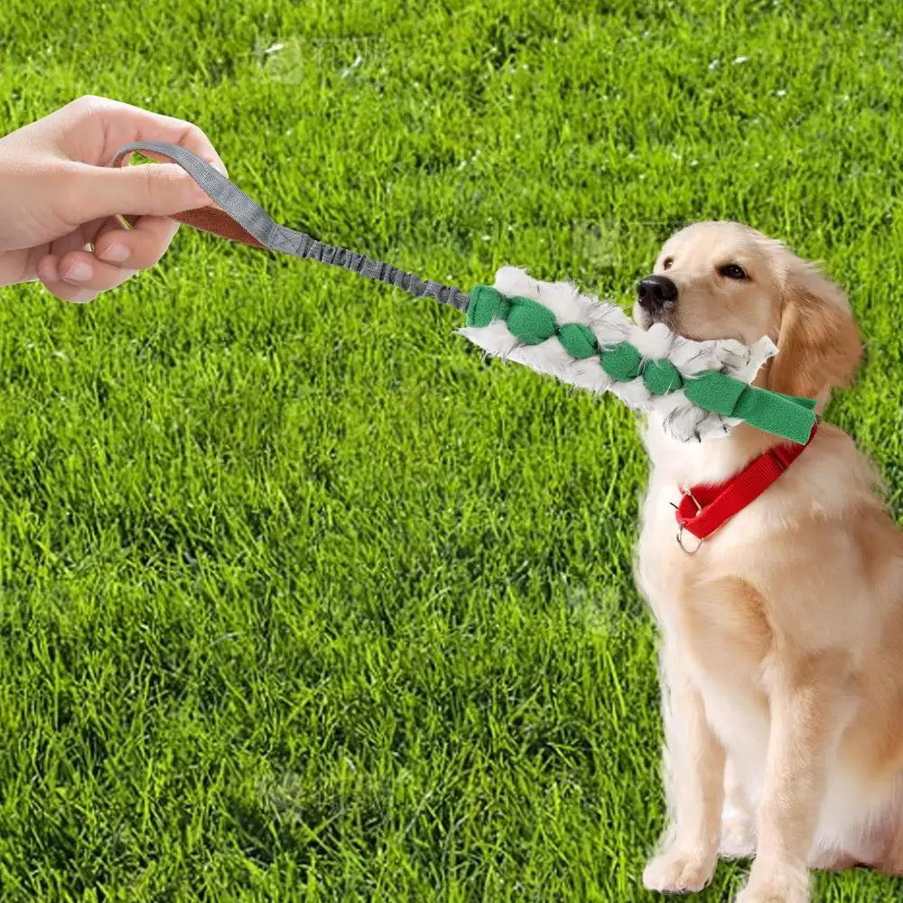 Dog Squeaky Rope Toy, Dog Chew Toys