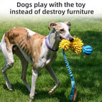 Dog Squeaky Rope Toy, Dog Chew Toys