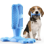Dog Cactus Chew Toys, Cleaning Toothbrush