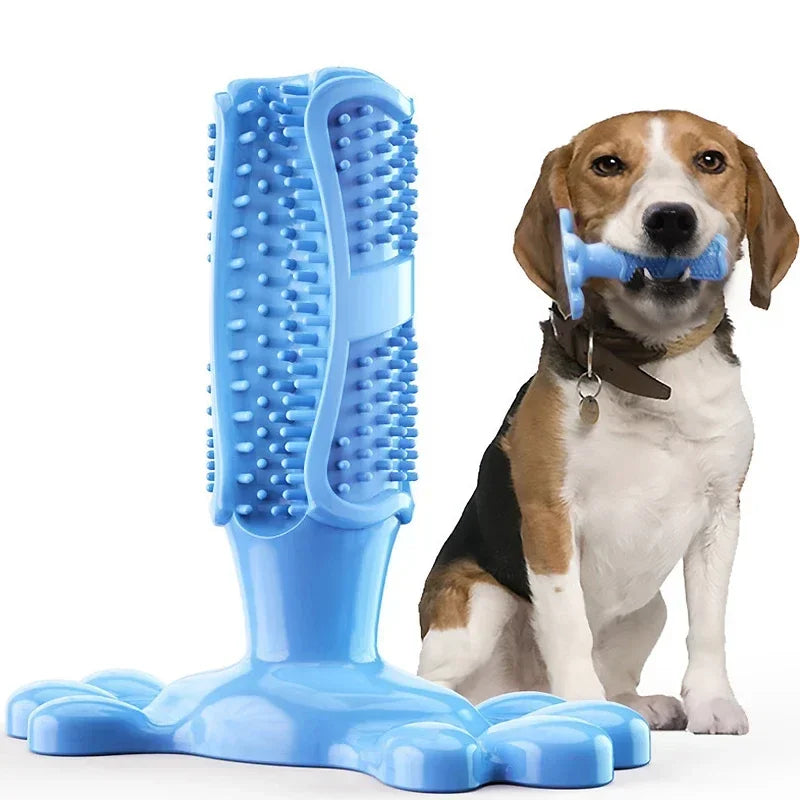 Dog Cactus Chew Toys, Cleaning Toothbrush
