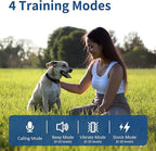 Dog Training Collar, Waterproof Rechargeable E-Collar