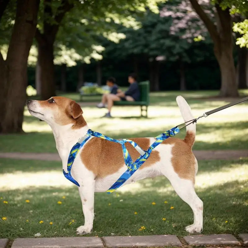 Dog's Pulling Harness, Adjustable Reflective, Outdoor