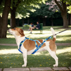 Dog's Pulling Harness, Adjustable Reflective, Outdoor