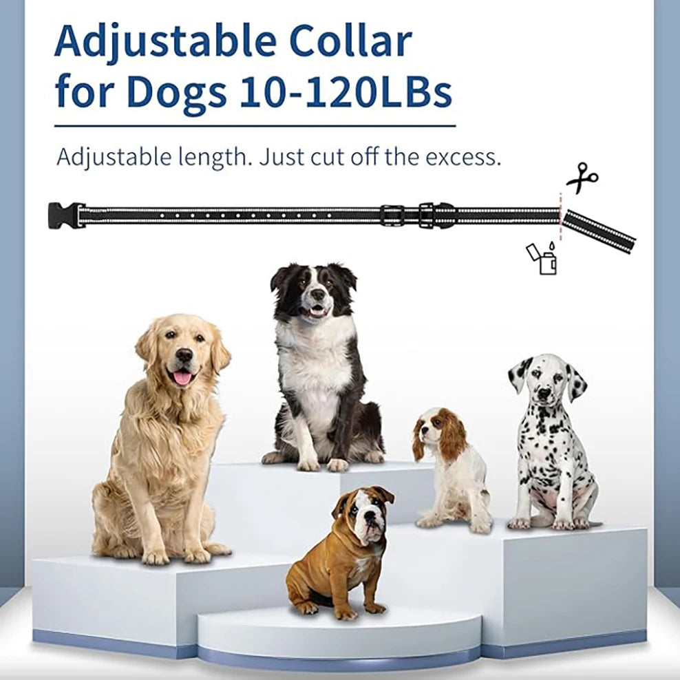 Dog Training Collar, Waterproof Rechargeable E-Collar