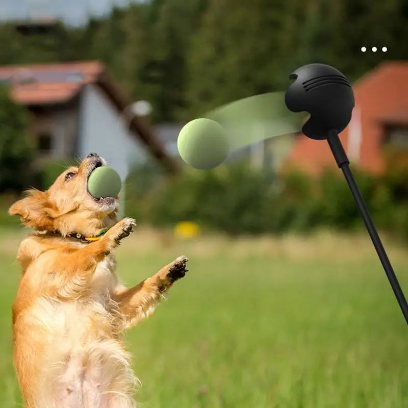 Dog Toys,Launcher Pole, Throwing Stick