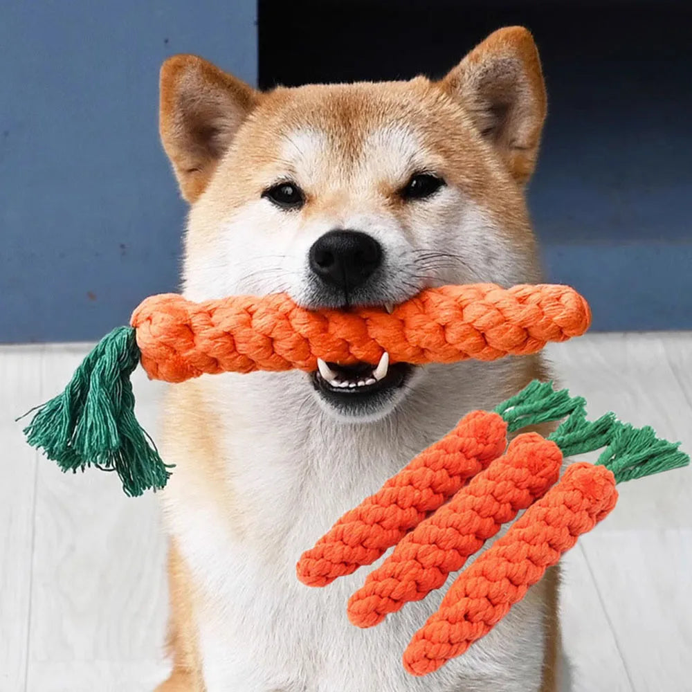Carrot, Rope Dog Toys